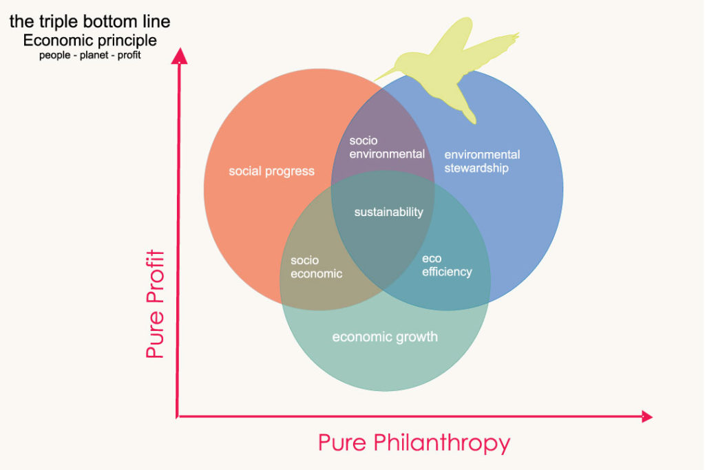 Dom fera bottom line перевод. The Triple bottom line. Концепция тройного критерия. Triple bottom line approach. Триединая концепция устойчивого развития.